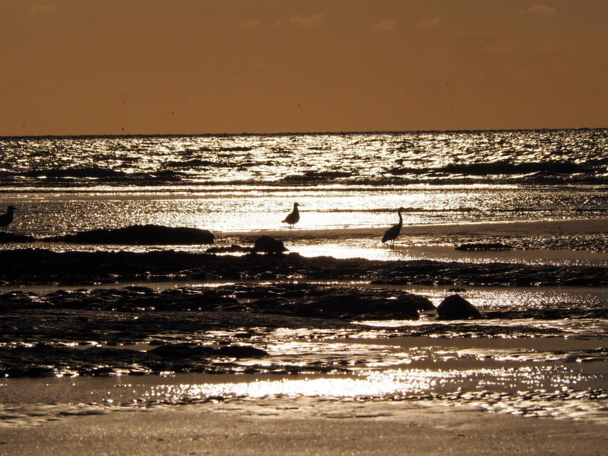 Les Nord'Mandines Hotel Trouville-sur-Mer Luaran gambar